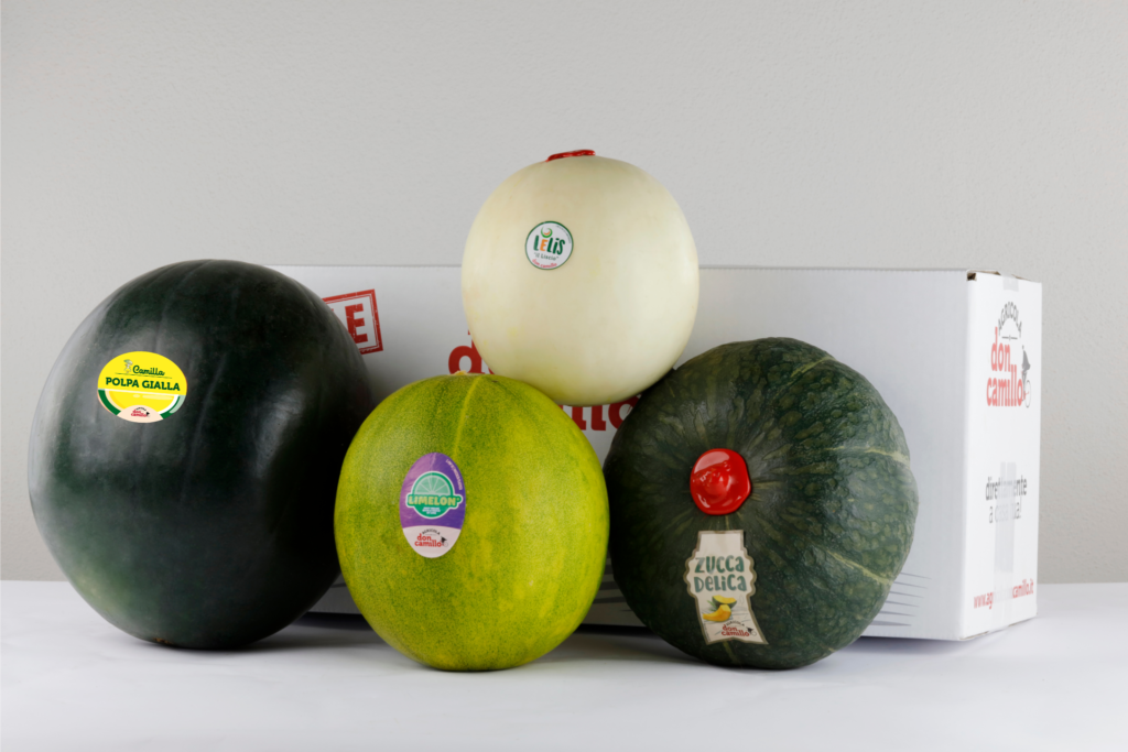 Confezione Da 10 Reti Per Anguria - Amache Per Meloni E Zucca, Supporto Da Giardino In Nylon, 60 Cm, Carico Max 10kg