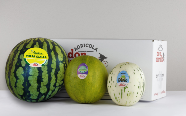 Box Mista - Anguria senza semi, Melone Dino, Melone Limelon