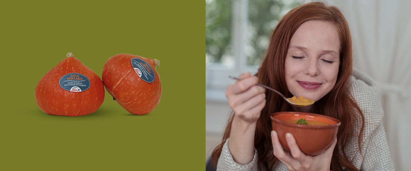 netted-melon