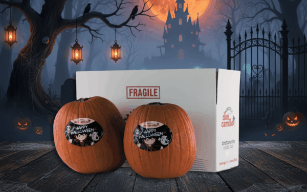 Zucca Happy Halloween