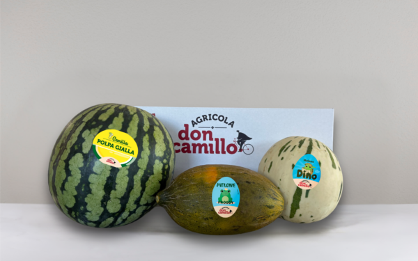 Box Mista - Anguria Camilla senza semi, Melone Dino, Melone Froggy