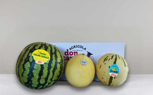 Box Mista - Anguria Camilla senza semi, Melone Dino, Melone Liscio