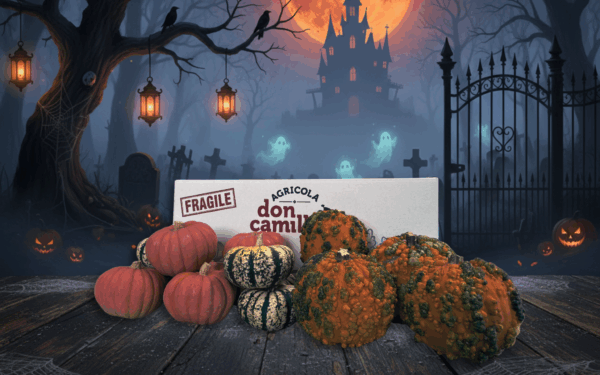 Zucche Decorative - Happy Halloween