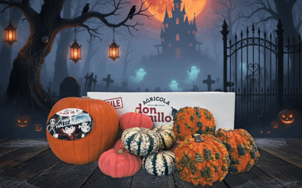 Box Mista - Happy Halloween